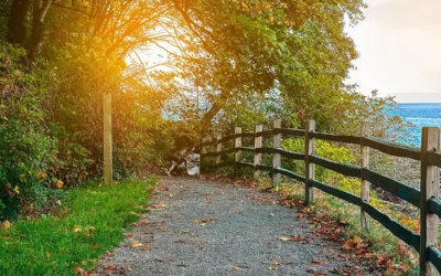 Trail Passes (2025-26)